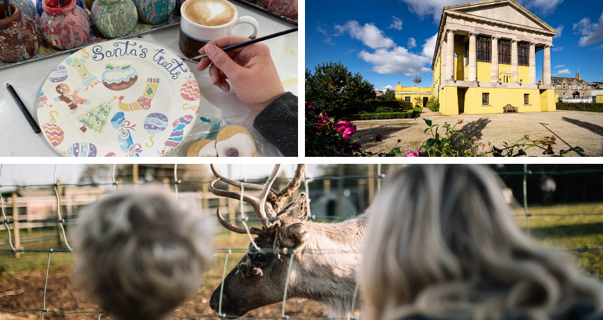 A trio of images including a christmas themed plate, The Portico of Ards venue and a reindeer at Ark Open Farm